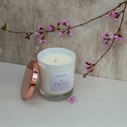 black plum & rhubarb 30cl scented candle