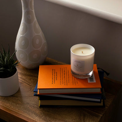 lemongrass & ginger 30cl scented candle
