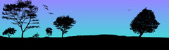 LS - Countryside 1